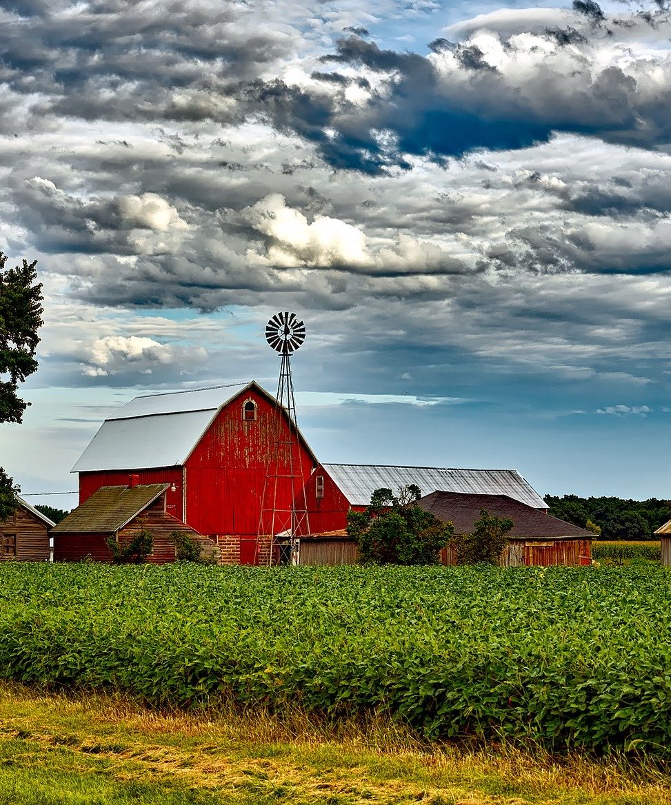 Red barn with a corn field in front of it. 